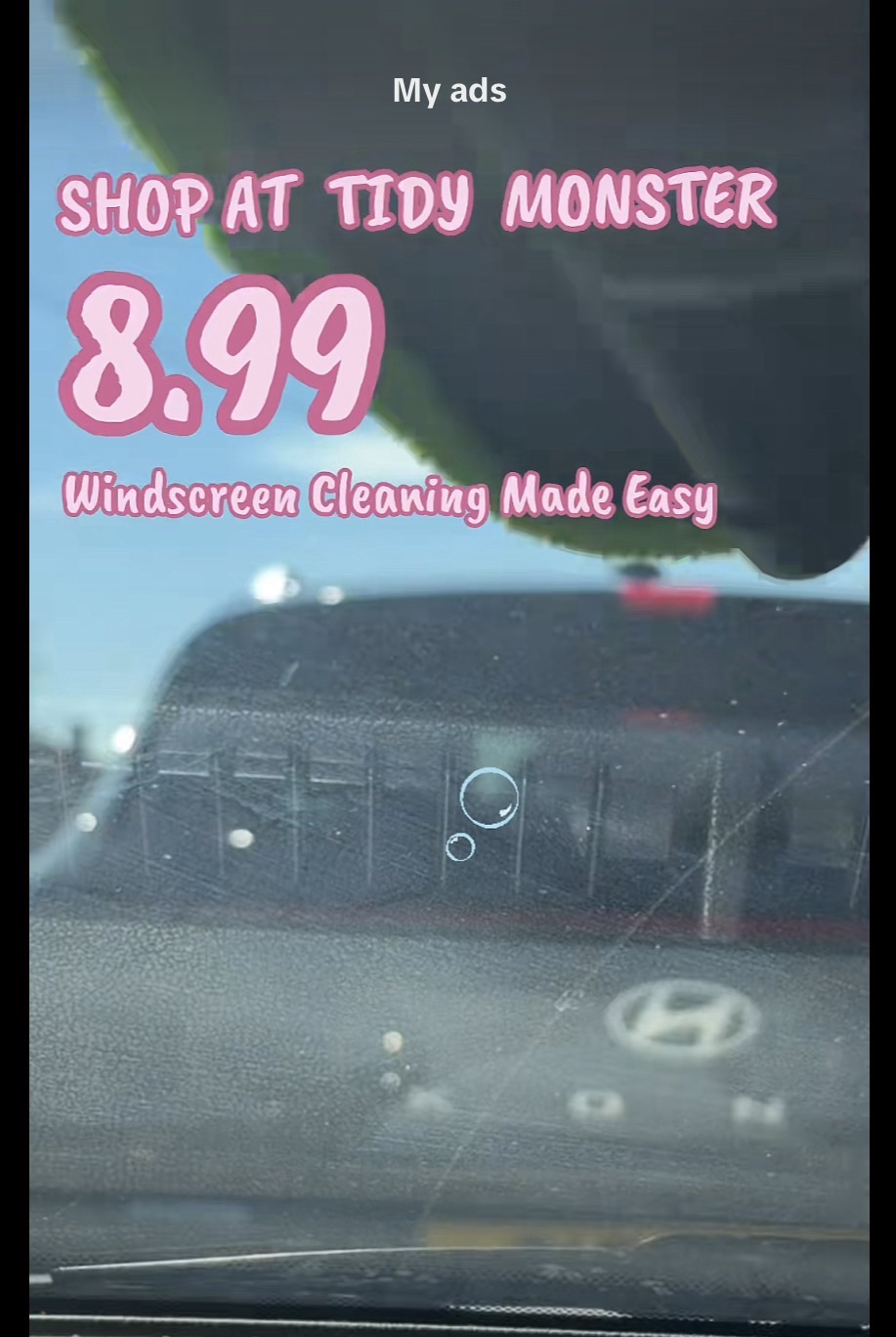 Windscreen Cleaning tool from tidy monster&nbsp;8.99